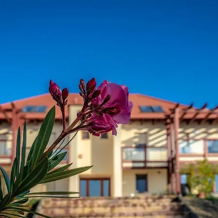 Apartmán Aranymandula